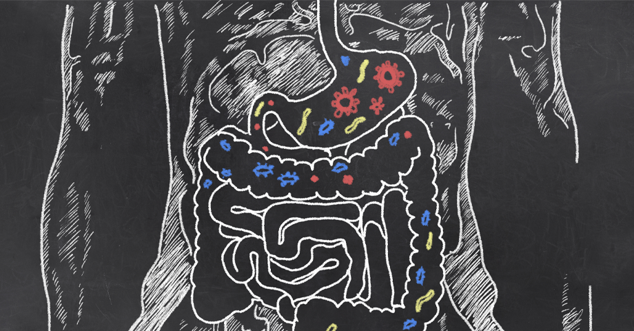 How Does Collagen Help In Gut Health?