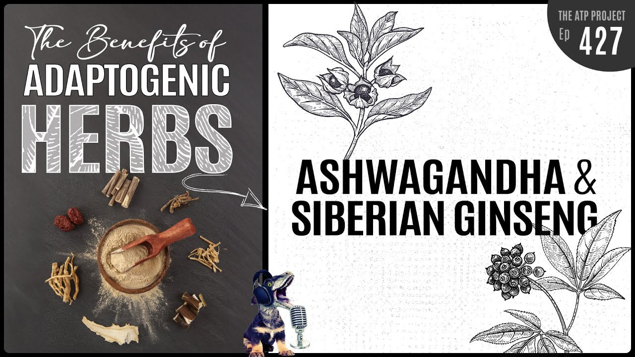Ashwagandha & Siberian Ginseng - Adaptogens