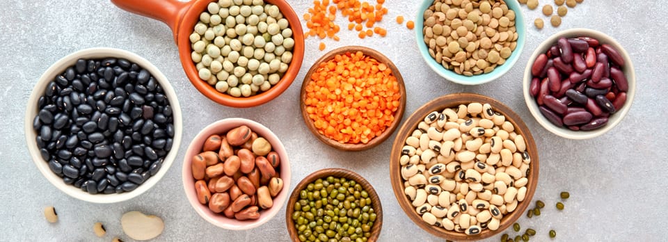 Lectins - The Root of all Evil?