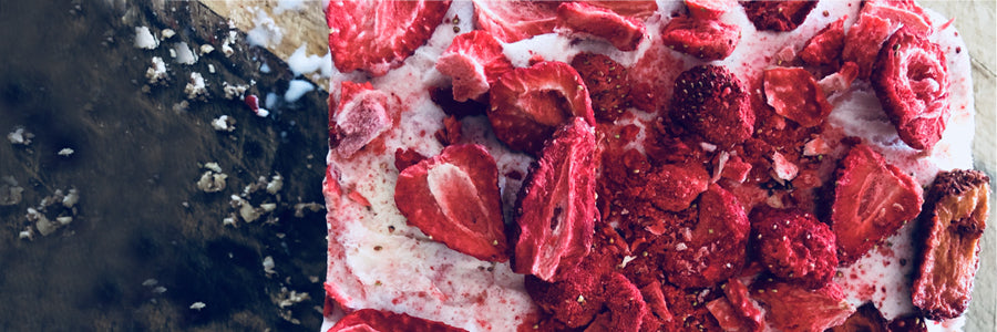 Frozen Yoghurt Slice