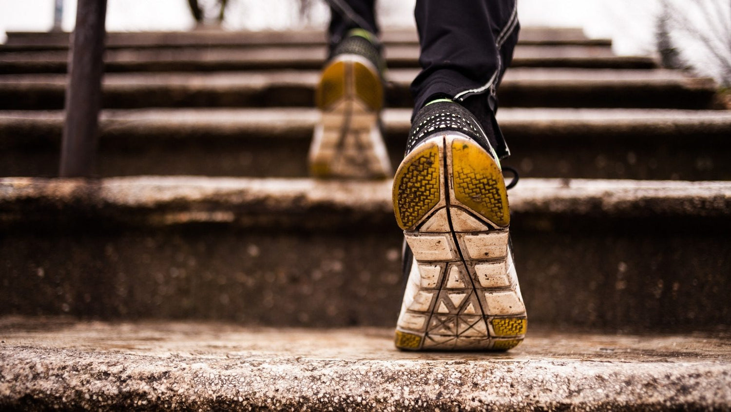 High Intensity Vs Steady State for Fat Loss