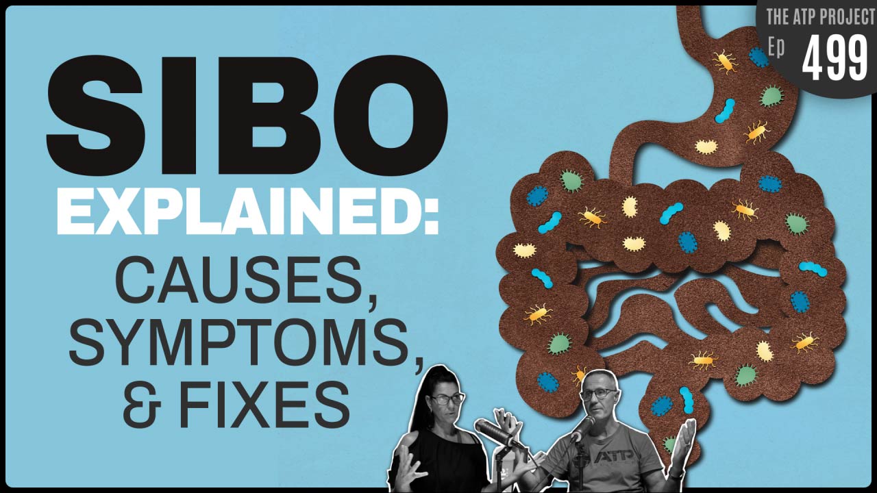 Naturopaths Explain SIBO: Causes, Symptoms and Fixes