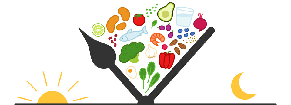 I.F - Intermittent Fasting and Circadian Rhythm