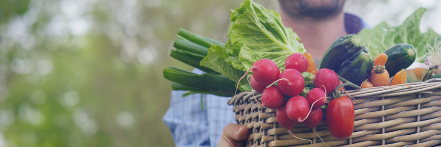 Methylenetetrahydrofolate Reductase (MTHFR)