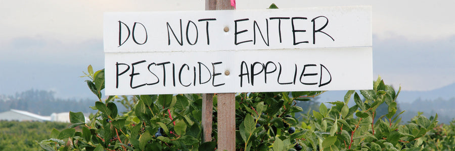 Top 10 Tips for Living in a Toxic World