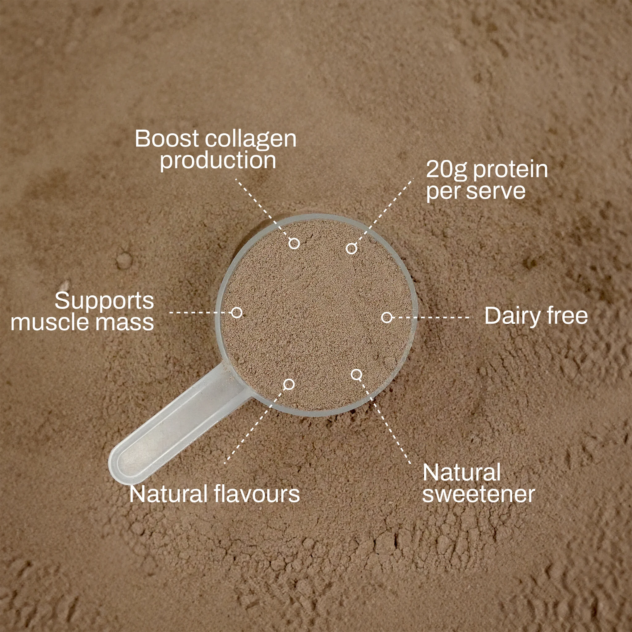 NOWAY!® Collagen Protein - Chocolate