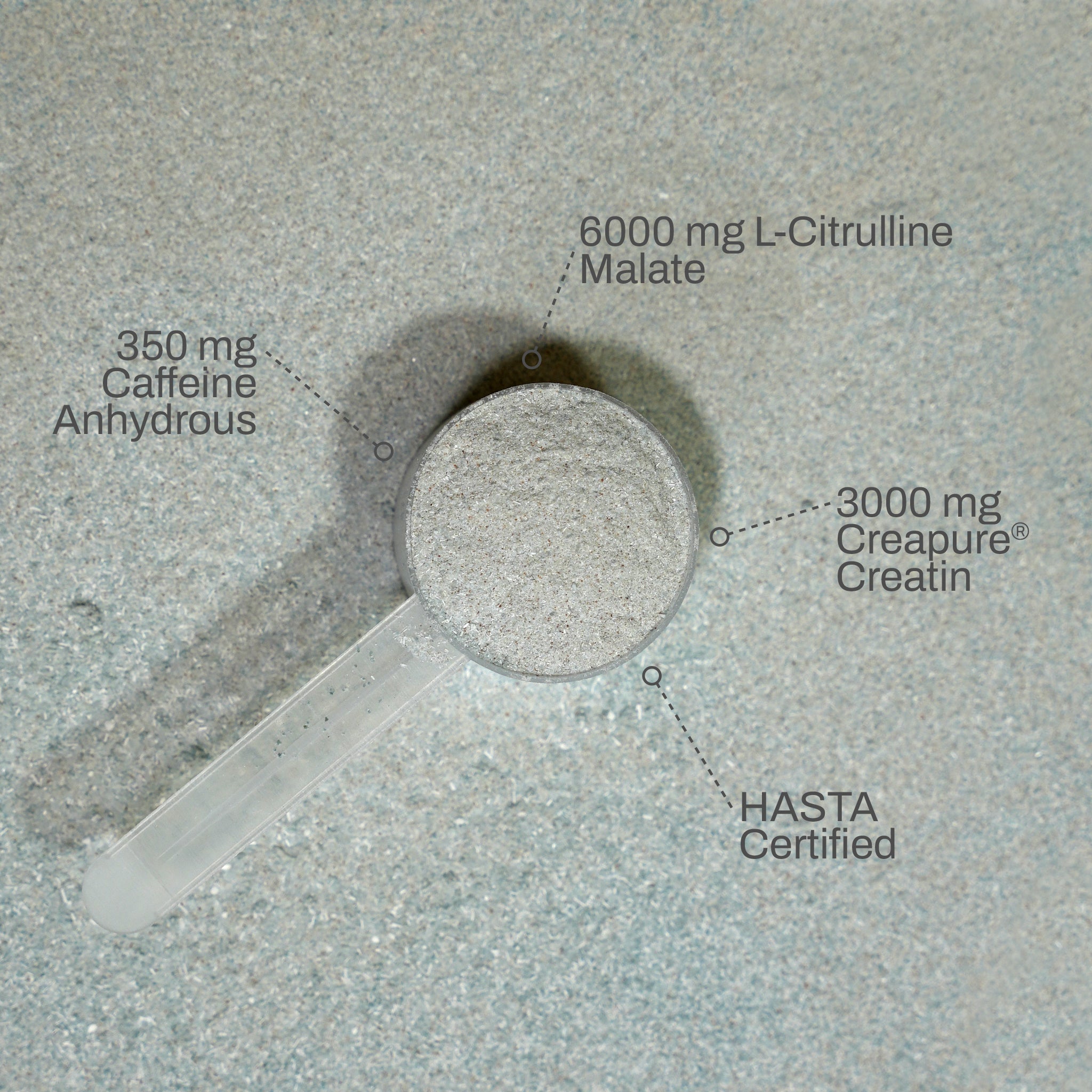 Pre Plus - Blueberry Blackcurrant